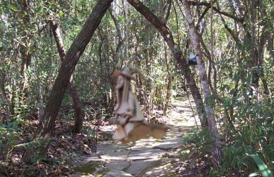 Chales City Camael São Tomé das Letras Dış mekan fotoğraf